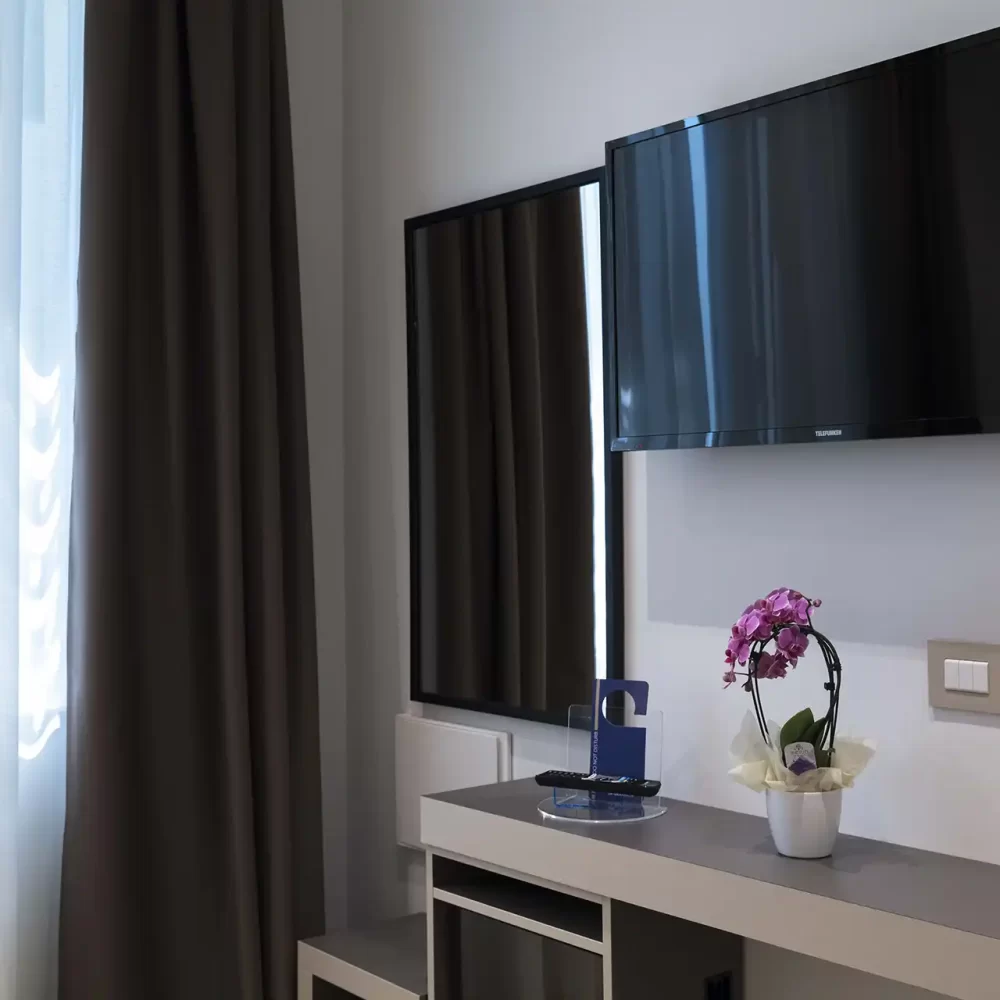TV montata su parete in una stanza con finestra e fiore sul mobile.