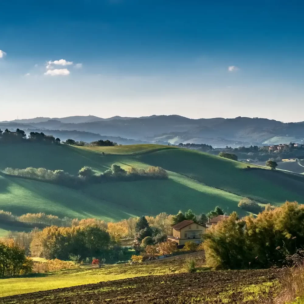 Paesaggio collinare con campi verdi e cielo blu limpido.